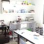 laboratorio
