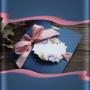 Invitaciones de boda en xalapa