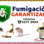 Garantizado