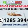 cucarach