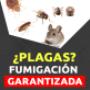 plaga