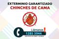 Fumigacion de chinches de cama