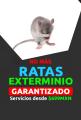 Fumigación de ratas