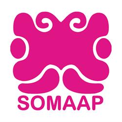 Sociedad Mexicana de Autores de las Artes Plásticas SOMAAP