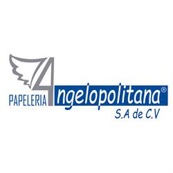 PAPELERÍA Angelopolitana S.A. de C.V.