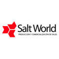 Salt World