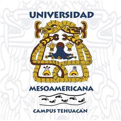 Universidad Mesoamericana Plantel Tehuacán