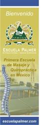 Escuela Palmer de México
