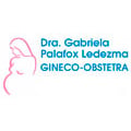 Dra. Gabriela Palafox Ledezma
