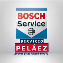 Bosch Car Service Peláez