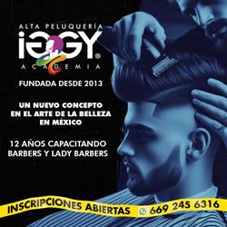 IGGY Academia y Alta Peluqueria