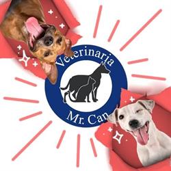 Veterinaria Mr. Can