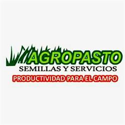 Semillas y Servicios Agropasto