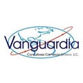 Vanguardia Consultores Comercio Exterior S.C.
