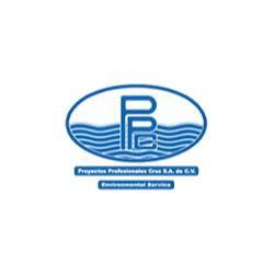 Proyectos Profesionales Cruz