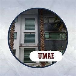 Unidad Medica de Alta Especialidad (Umae)