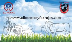 ALIMENTOS FORRAJES Y SEMILLAS DE MORELOS