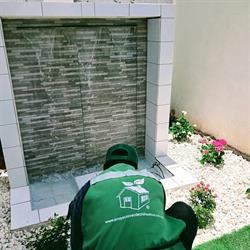 PROYECTO VERDE CHIHUAHUA
