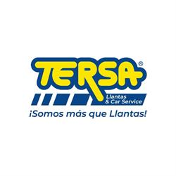TERSA Llantas Encinas