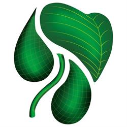 Grupo Navarro Paisaje