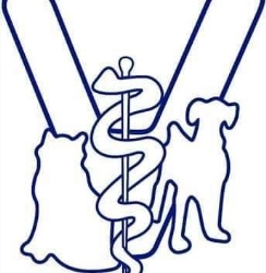 Hospital Veterinario de Especialidades Ceylán