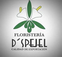Floristería D'Spejel