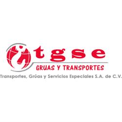 Transportes Grúas Y Servicios Especiales Sa De Cv