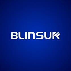 BLINSUR TAMAULIPAS SA DE CV