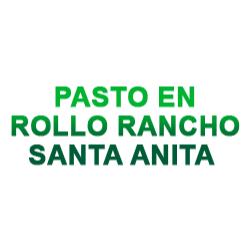 Pasto En Rollo Rancho Santa Anita