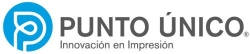 Punto Unico