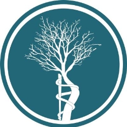 Traumatología y Ortopedia Integral Dr. Víctor Barbosa Onesto
