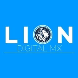Lion Digital MX Agencia de Marketing Digital