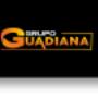 GRUPO GUADIANA
