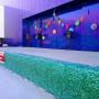 Ceart 2