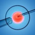 inseminacion artificial en mexico