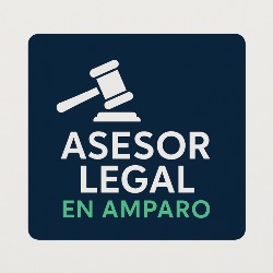 Asesor Legal En Amparo