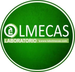 Laboratorio Olmecas Perla
