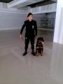 Renta y o venta de unidades caninas.