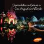 wedding planner san miguel de allende