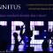 tinnitus-2