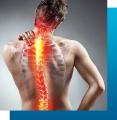 especialista en columna vertebral
