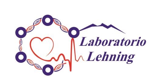 Laboratorio Lehning