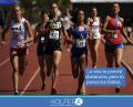 prevencion de lesiones musculoesqueleticas