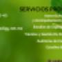 Servicios Profesionales