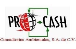 Procash Consultorias Ambientales, S.A de C.V
