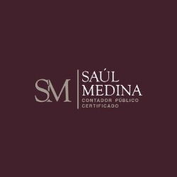 CONTADOR PUBLICO CERTIFICADO SAUL MEDINA SEGURA