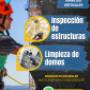 Servicios