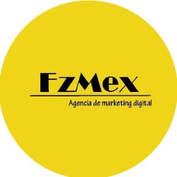 Páginas Web para negocios, FZMEX