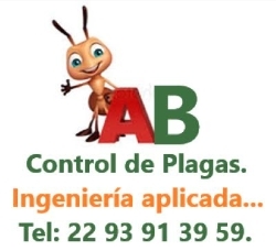 AB Control de Plagas