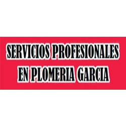 Servicios Prof En Plomería García